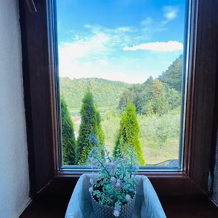 Small Bosnian House *